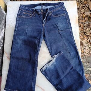 Bebe Women's Navy and Blue Jeans